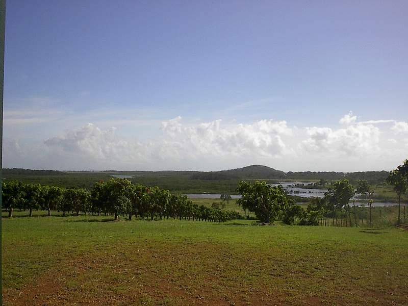 952 HAY POINT ROAD, Hay Point QLD 4740