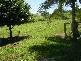 71 GRASSTREE BEACH ROAD, Grasstree Beach QLD 4740