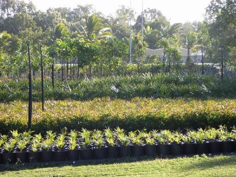 656 MACKAY BUCASIA ROAD, Rural View QLD 4740
