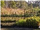 656 MACKAY BUCASIA ROAD, Rural View QLD 4740