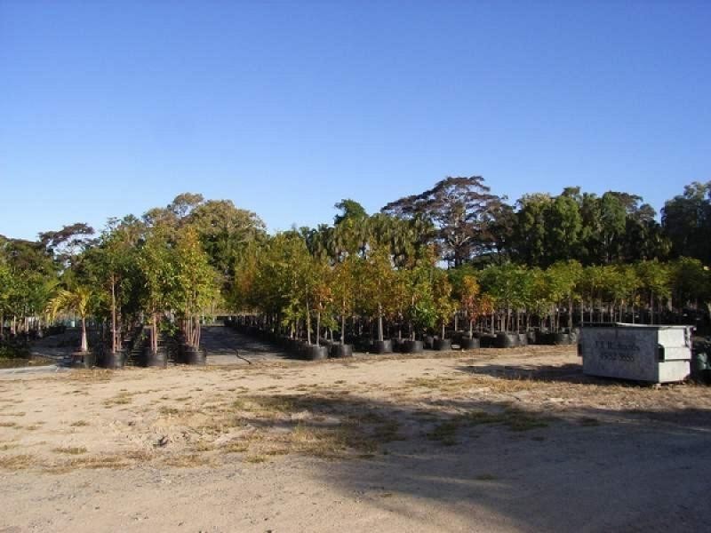 656 MACKAY BUCASIA ROAD, Rural View QLD 4740