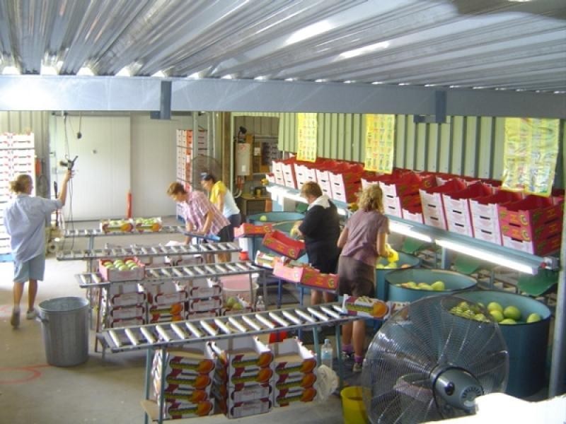 Lot 1 Sugarloaf Drive, Balnagowan, Mackay QLD 4740