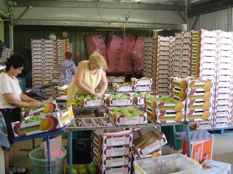 Lot 1 Sugarloaf Drive, Balnagowan, Mackay QLD 4740