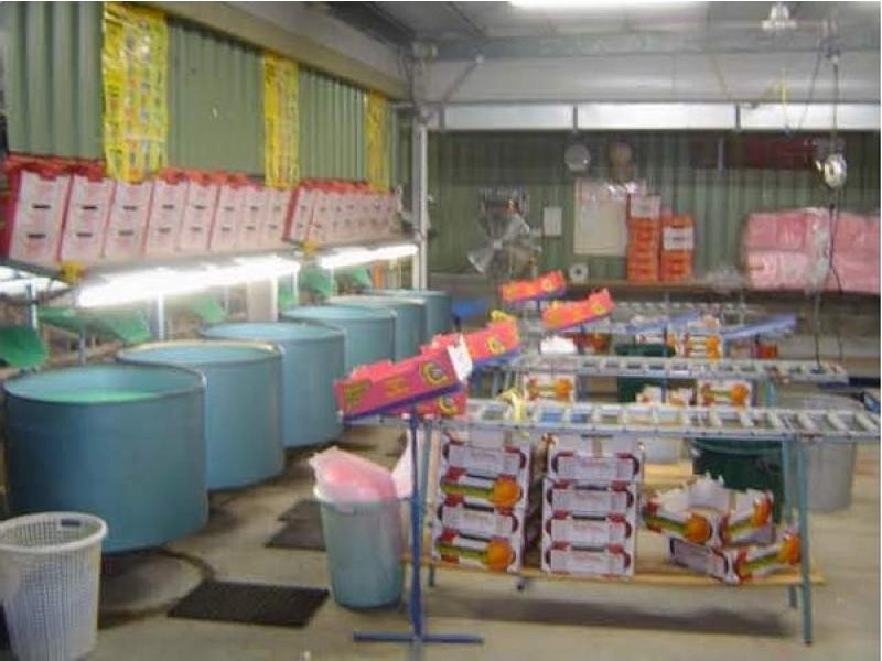 Lot 1 Sugarloaf Drive, Balnagowan, Mackay QLD 4740