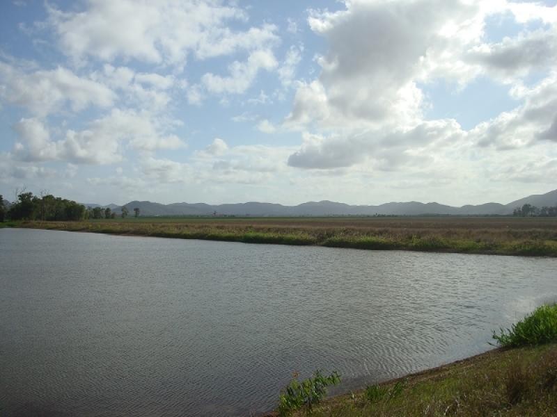 Lot 1 Landing Road, Koumala QLD 4738