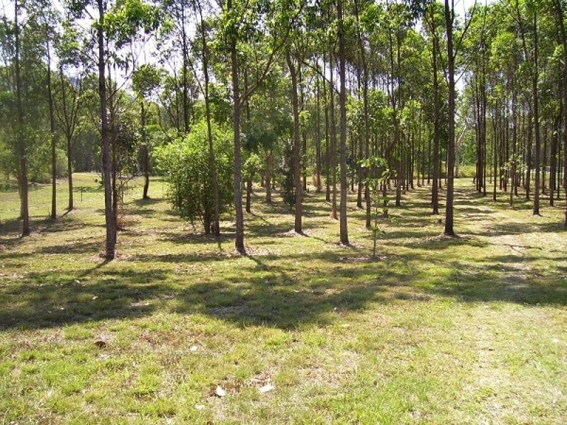 Lot 5 Mount Martin Geeburga Road, Kuttabul QLD 4741