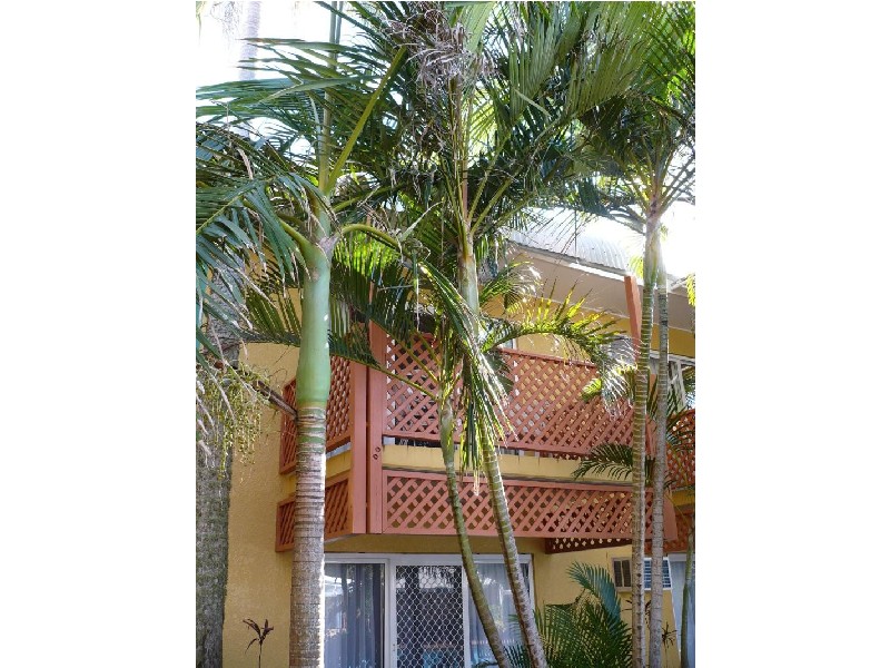 UNIT 227/6 BEACH ROAD, Dolphin Heads QLD 4740