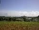 952 HAY POINT ROAD, Hay Point QLD 4740