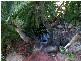 11 IAN WOOD DRIVE, Dolphin Heads QLD 4740