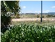 11 VAILALA RISE, Rural View QLD 4740