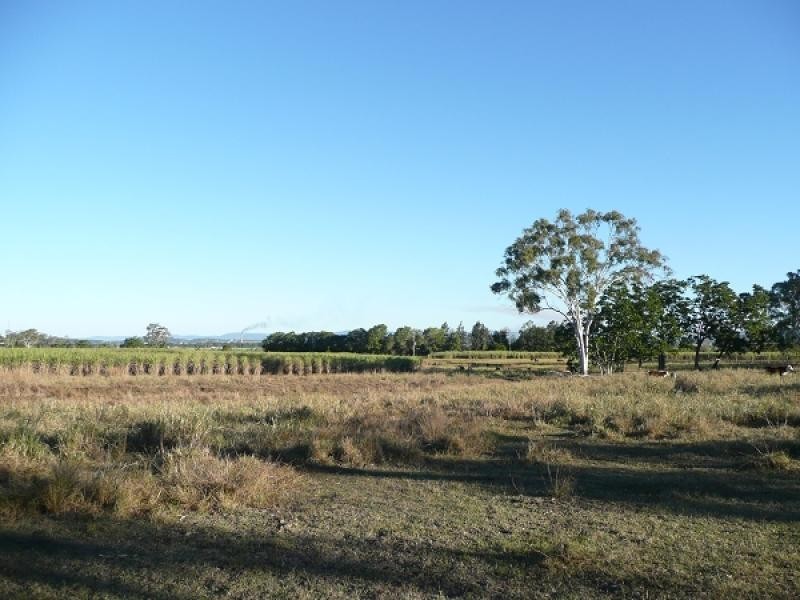 118 Coxs Road, Balnagowan QLD 4740