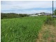 11 Collins Court, Eimeo QLD 4740