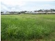 11 Collins Court, Eimeo QLD 4740
