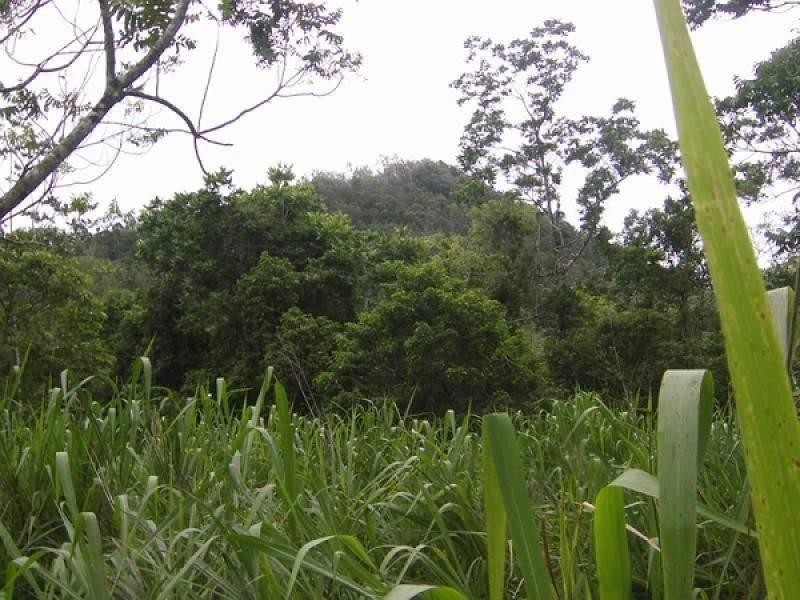 LOT 1 CAMILLERIS ROAD, Mount Charlton QLD 4741