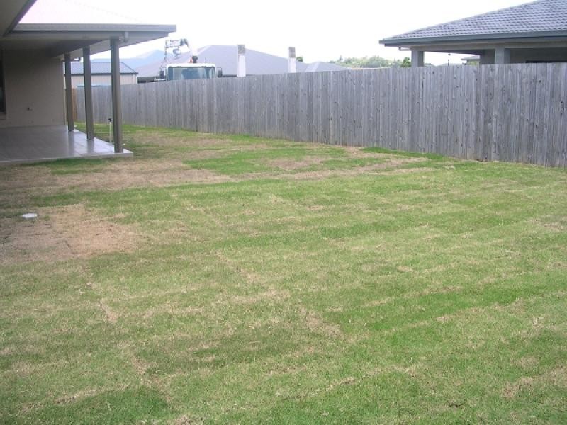 11 BONSAI COURT, Glenella QLD 4740