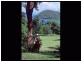 Lot 2 Island Street, Dunk QLD 4852