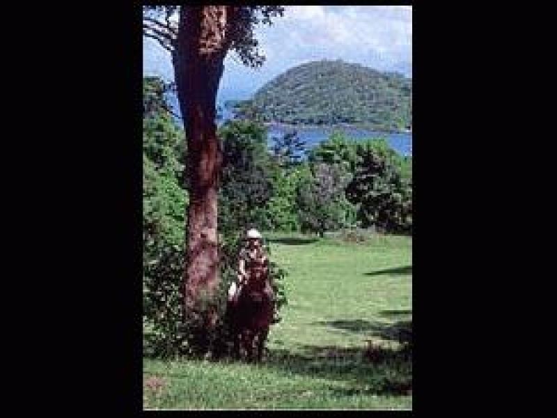 Lot 2 Island Street, Dunk QLD 4852