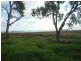 Lot 1 Landing Road, Koumala QLD 4738