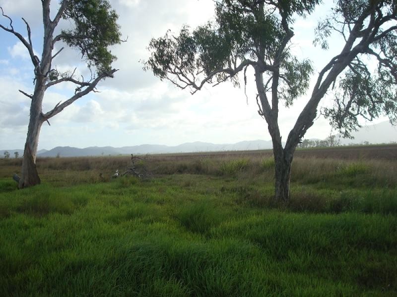 Lot 1 Landing Road, Koumala QLD 4738