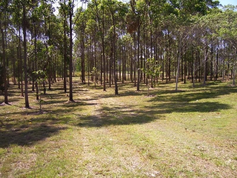 Lot 5 Mount Martin Geeburga Road, Kuttabul QLD 4741