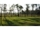 3016 Mackay Eungella Road, Mirani QLD 4754