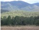 142 Cathu-O’Connell River Road, Yalboroo QLD 4741