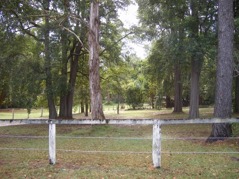 55 PALMWOODS SCHOOL ROAD, Palmwoods QLD 4555