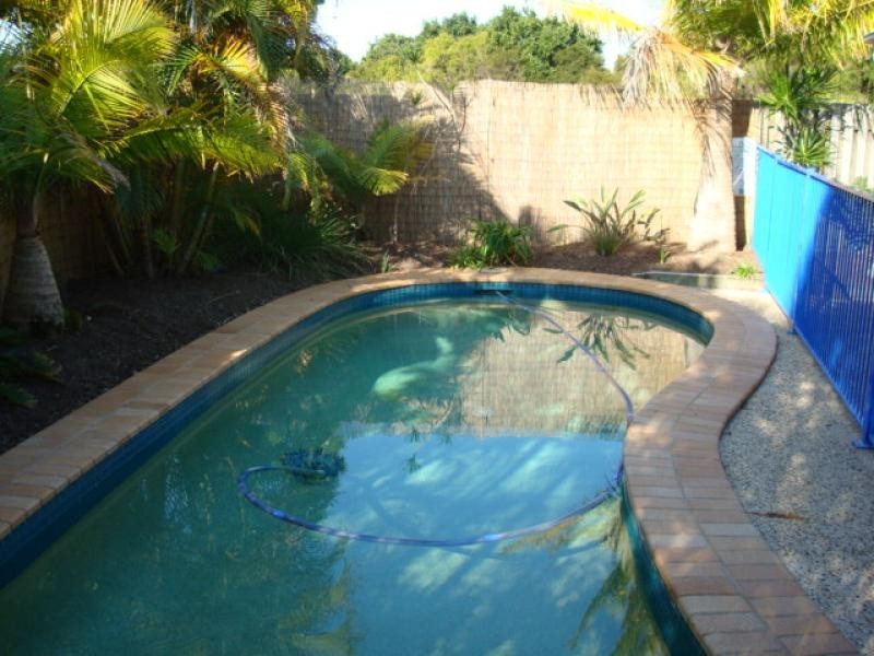 42 SATINWOOD PL,, Mountain Creek QLD 4557