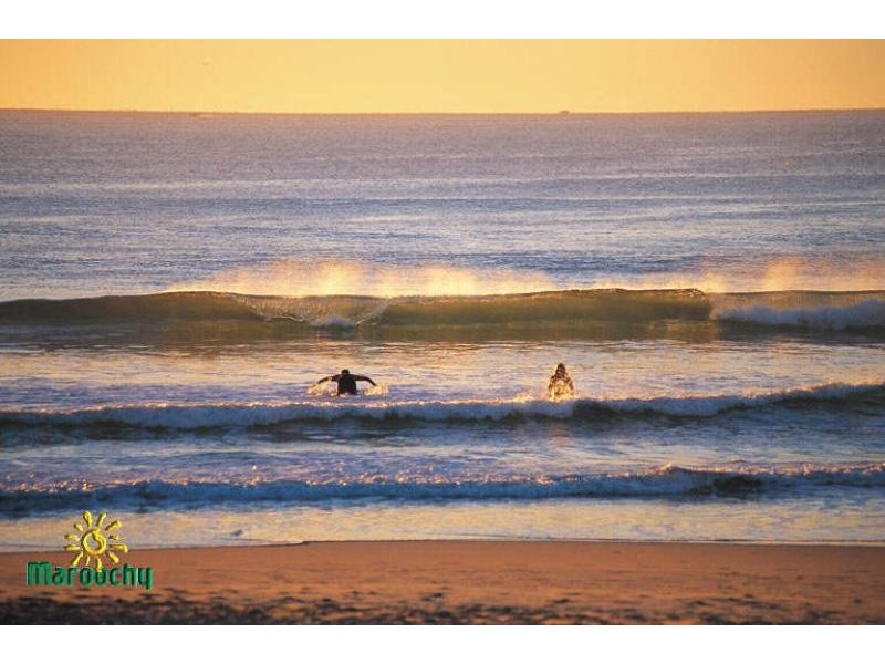 Maroochydore QLD 4558