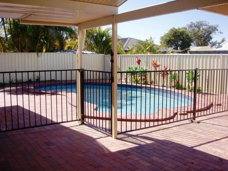 31 WANDOO STREET, Minyama QLD 4575