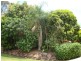 1 JEANETTE AVENUE, Nambour QLD 4560