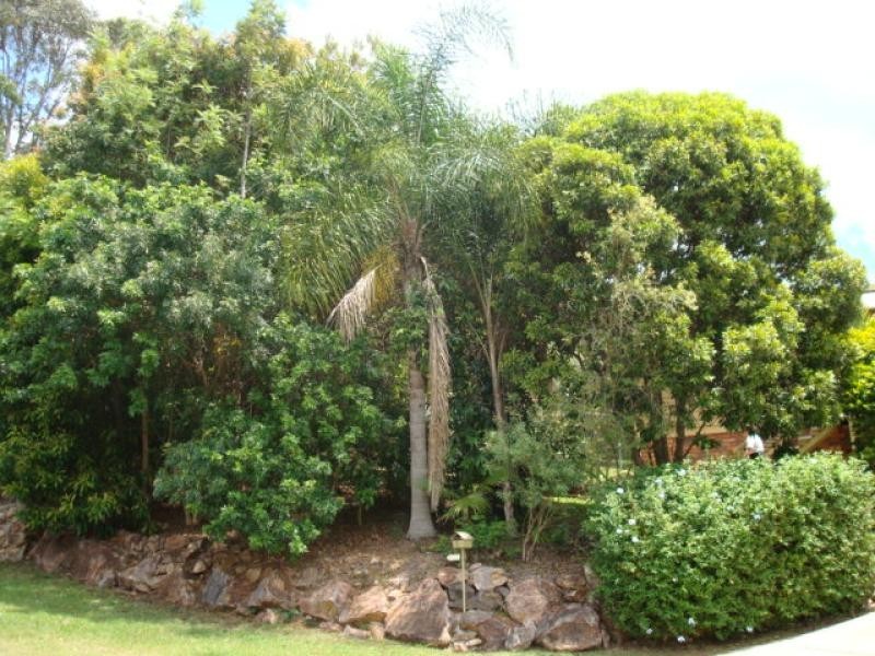 1 JEANETTE AVENUE, Nambour QLD 4560