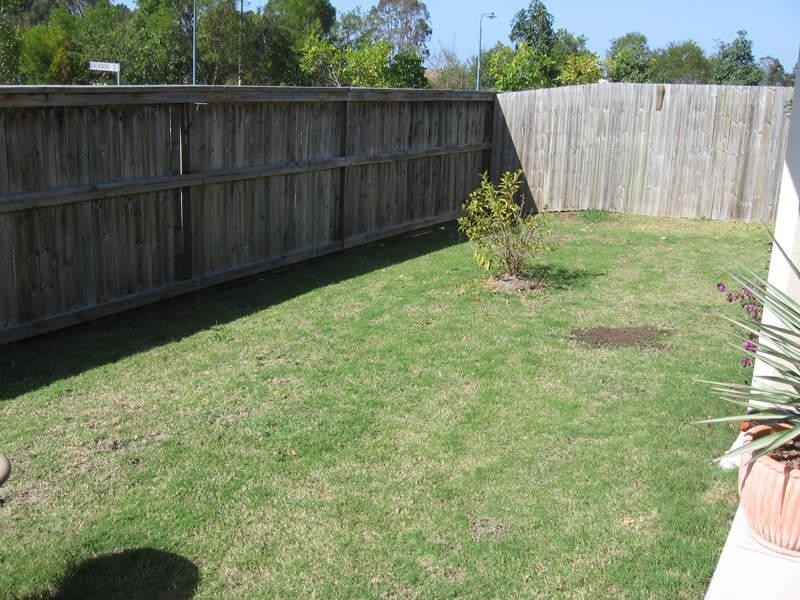 14 Alpinia Street, Sippy Downs QLD 4556