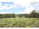 358 Wilson Rd, Buderim QLD 4556