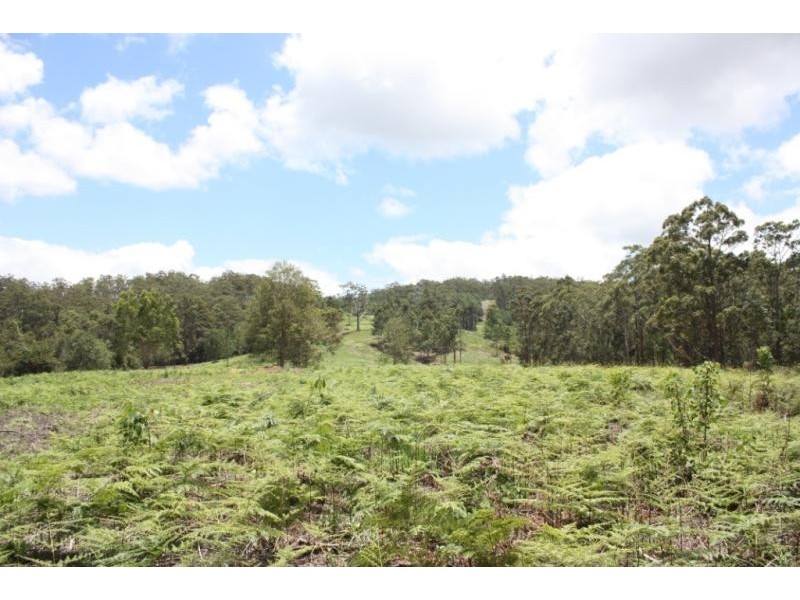 358 Wilson Rd, Buderim QLD 4556