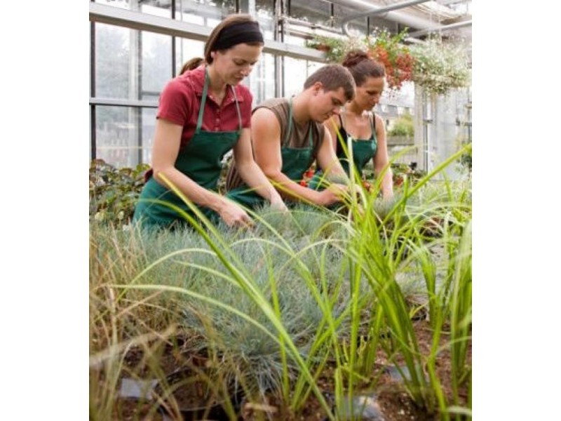 Eerwah Vale QLD 4562