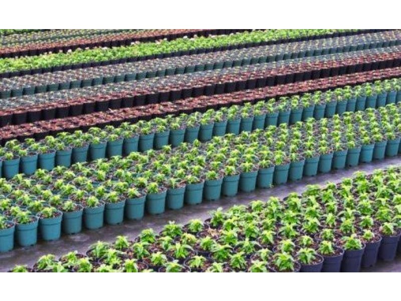 Eerwah Vale QLD 4562