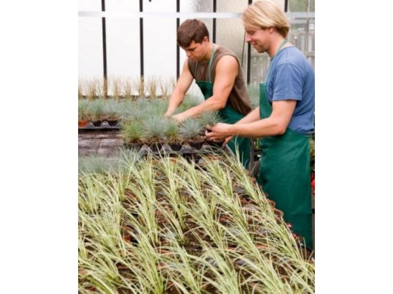 Eerwah Vale QLD 4562