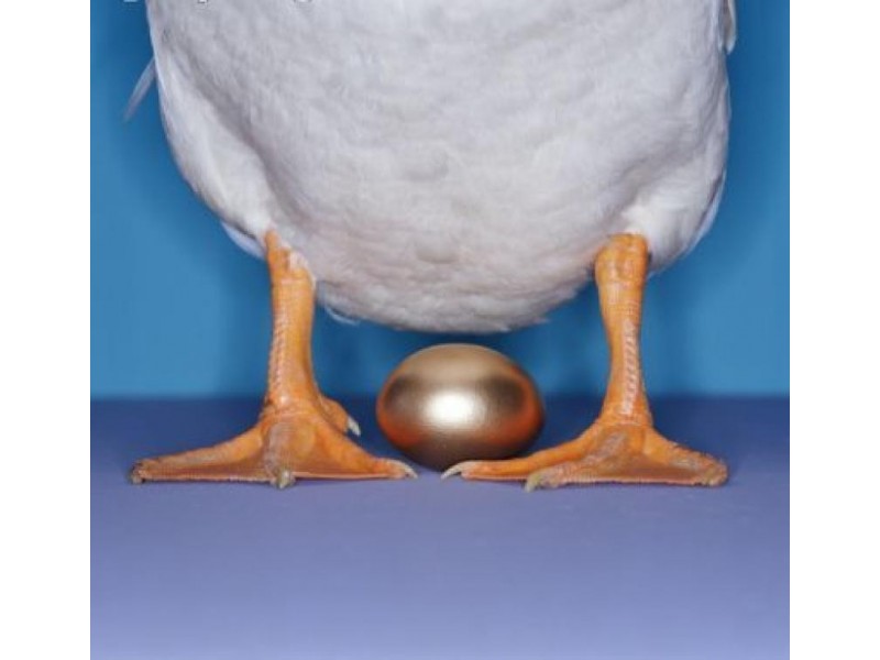 Maroochydore QLD 4558