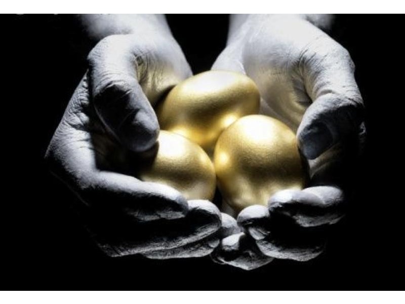 Maroochydore QLD 4558