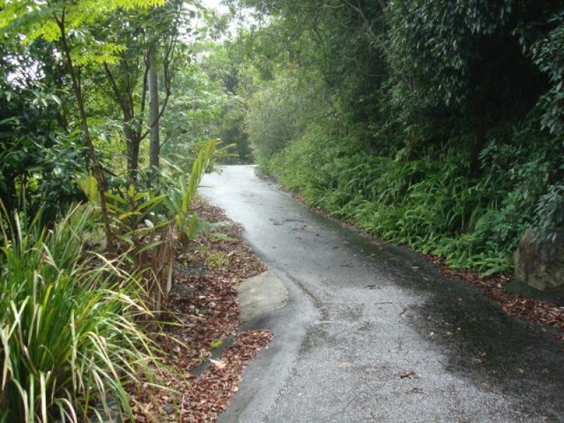 91 Paynters Creek Road, Rosemount QLD 4560