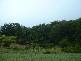 Montville QLD 4560