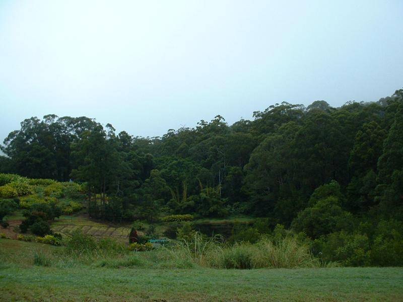 Montville QLD 4560