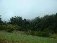 Montville QLD 4560