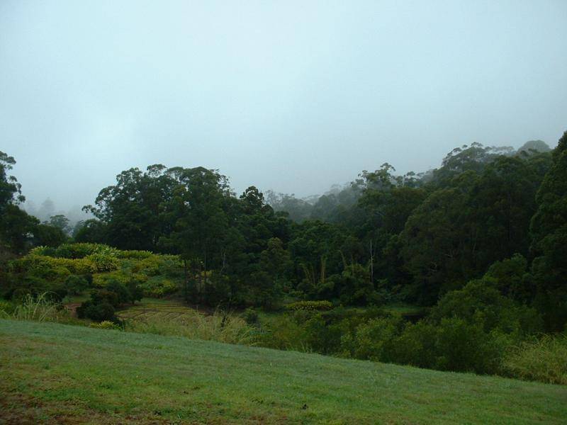 Montville QLD 4560