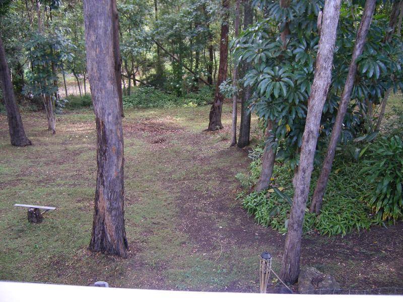 56 HILLCREST AVENUE, Nambour QLD 4560