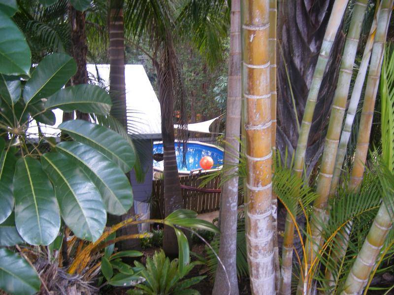 56 HILLCREST AVENUE, Nambour QLD 4560