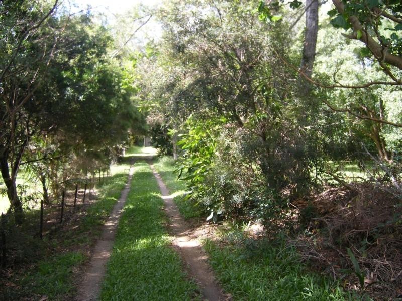 29 STEVENS STREET, Yandina QLD 4561