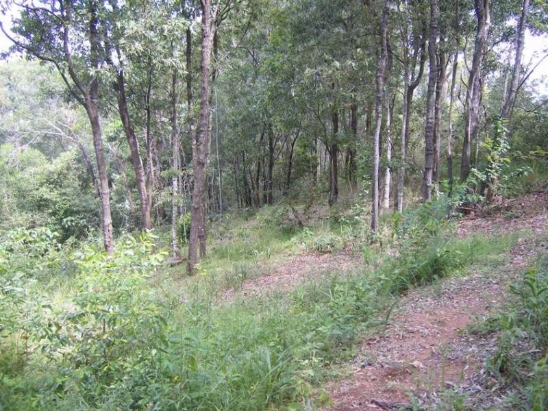 West Woombye QLD 4559