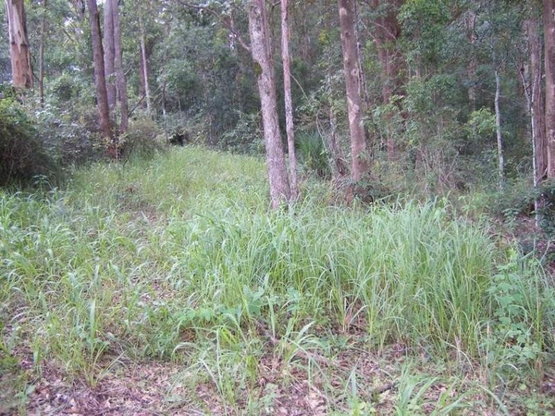 West Woombye QLD 4559